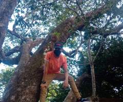 Luis50, hombre, soltero, San Miguelito, Panamá, Panamá