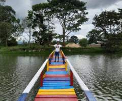 Wil, hombre, soltero, Panamá, Panamá, Panamá