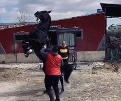 Pedro, hombre, soltero, Caravaca, Murcia, España