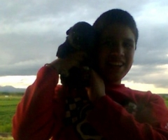 Rubenh, hombre, soltero, Logroño, La Rioja, España